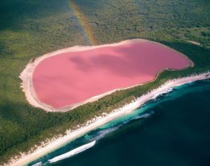 Lago rosa na Austrália