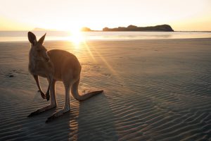praia da austrália