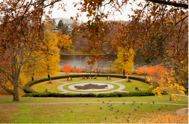 Descrição da imagem: Essa é a imagem do High Park, um dos principais parques de Toronto, com árvores nas cores laranja e vermelho, típicas da estação de outono, e com a figura da Maple (folha que é símbolo do Canadá) desenhada em um círculo no chão gramado. 