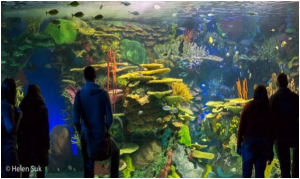 Interior do Aquarium Toronto