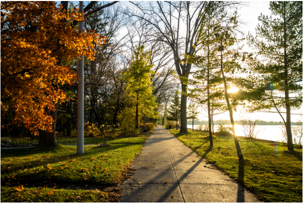 Descrição da imagem: Fotografia do High Park em Toronto com árvores verdes durante o verão. No centro da fotografia existe uma via de concreto para caminhadas. Ao fundo da imagem é possível ver um lago.