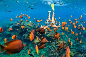 Descrição da imagem: A imagem mostra centenas de peixinhos de cor dourada nadando tranquilamente, enquanto uma moça entre eles utiliza um snorkel e faz sinal de “joinha” com as duas mãos.