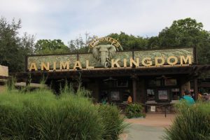 Parques de Orlando - Animal Kingdom
