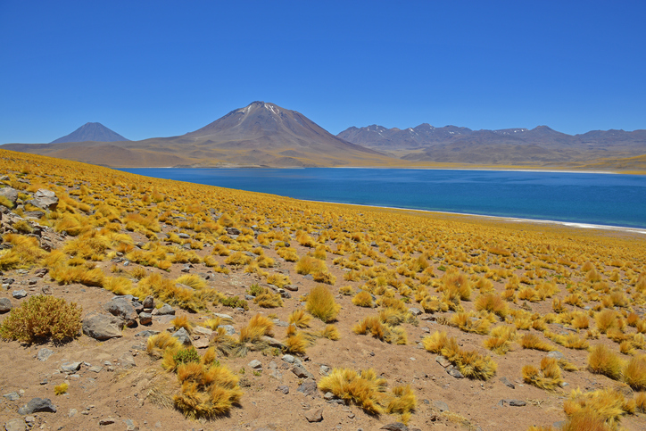 o que conhecer no Chile: San Pedro de Atacama